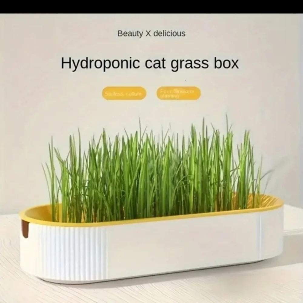 Organic Hydroponic Soil Free Cat Grass Box‎ Cat Nip Blue and White NWT